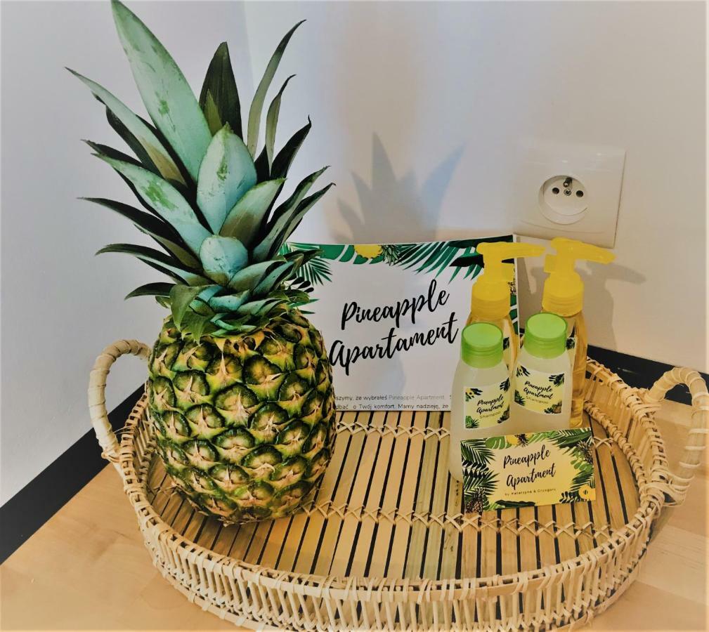 Pineapple Apartment Kolobrzeg Luaran gambar